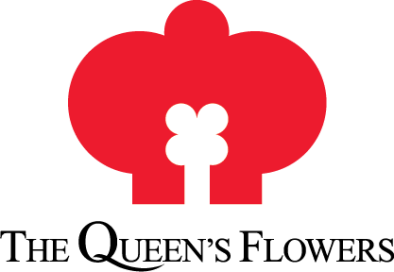 LOGO QUEENS FONDO