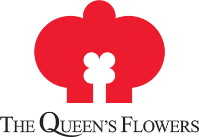 LOGO-QUEENS