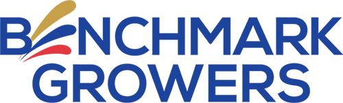 LOGOBENCHMRK2